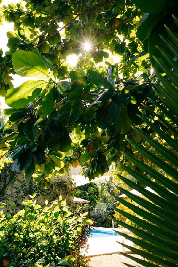 White Paradise Zanzibar Pongwe Εξωτερικό φωτογραφία
