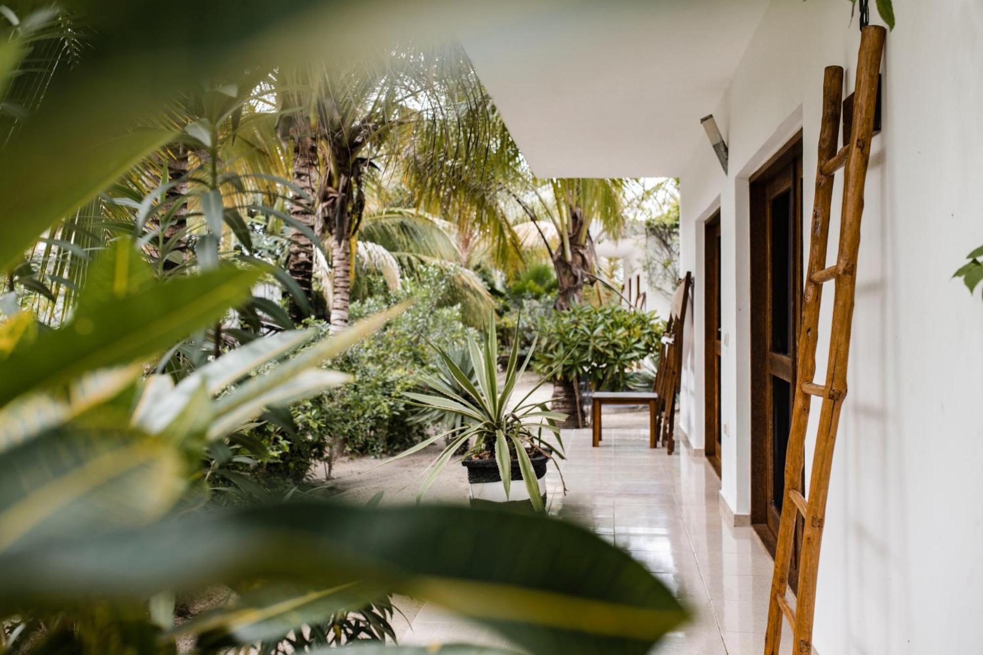 White Paradise Zanzibar Pongwe Εξωτερικό φωτογραφία