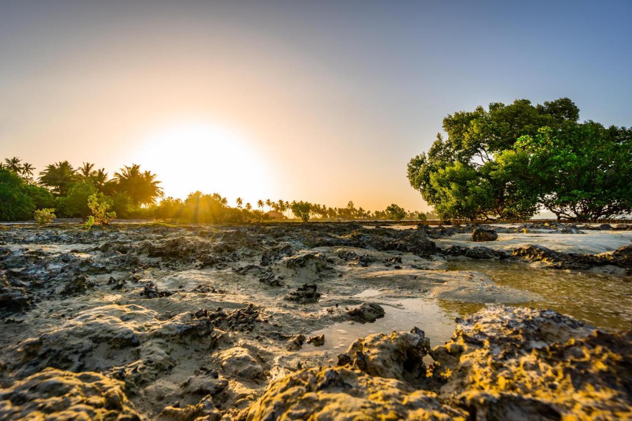 White Paradise Zanzibar Pongwe Εξωτερικό φωτογραφία